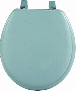 Achim Home Furnishings TOVYSTNY04 17-Inch Fantasia Standard Toilet Seat