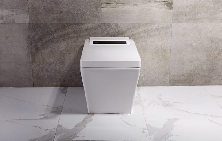 Best Bidet Toilet Seat