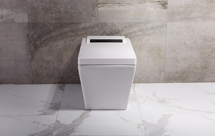 Best Bidet Toilet Seat