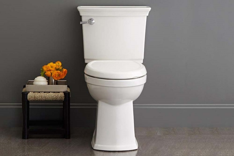 Best Comfort Height Toilet