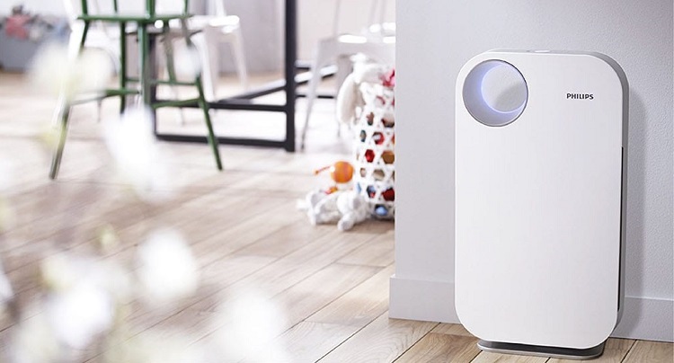 Best Dehumidifier for Bathroom