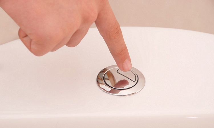 Best Dual Flush Toilet