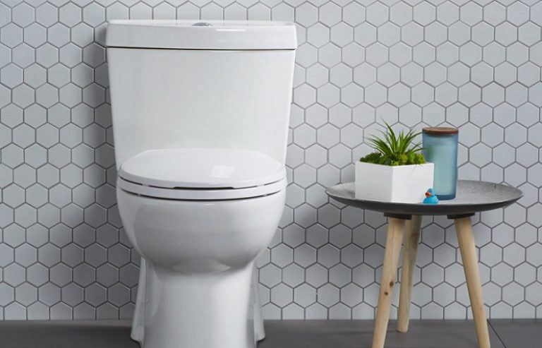Best Elongated Toilets