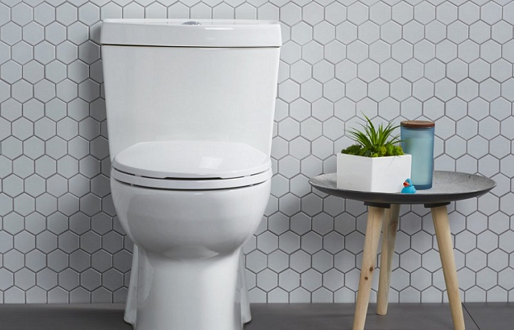 Best Elongated Toilets
