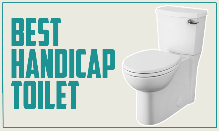Best Handicap Toilet