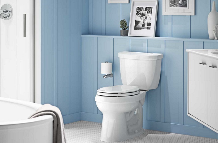 Best Kohler Toilets