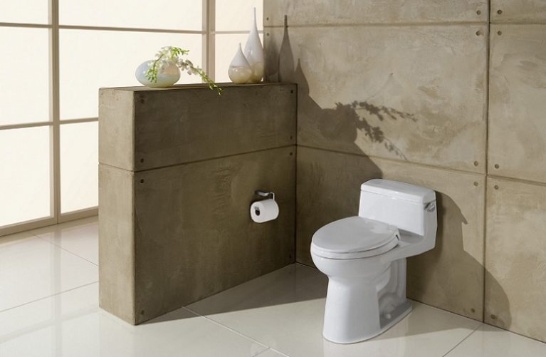 Best One Piece Toilets