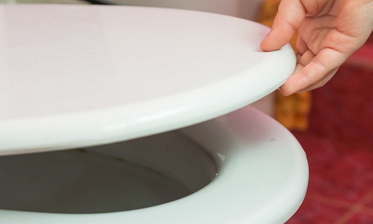 Best Padded Toilet Seats