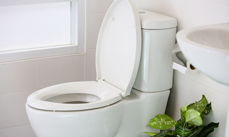 Best Pressure Assist Toilet