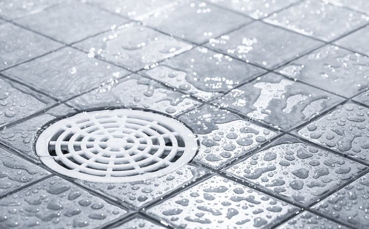Best Shower Drain
