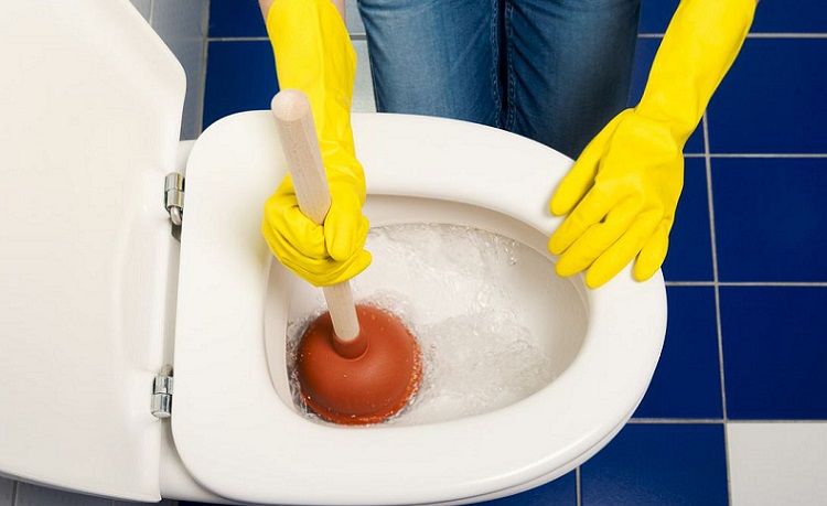 Best Toilet Plunger