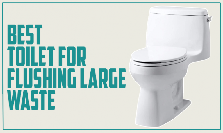 Best Toilet for Flushing Large Waste