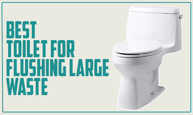 Best Toilet for Flushing Large Waste