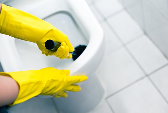 Clean Your Toilet