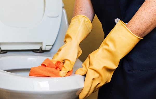 Clean the toilet