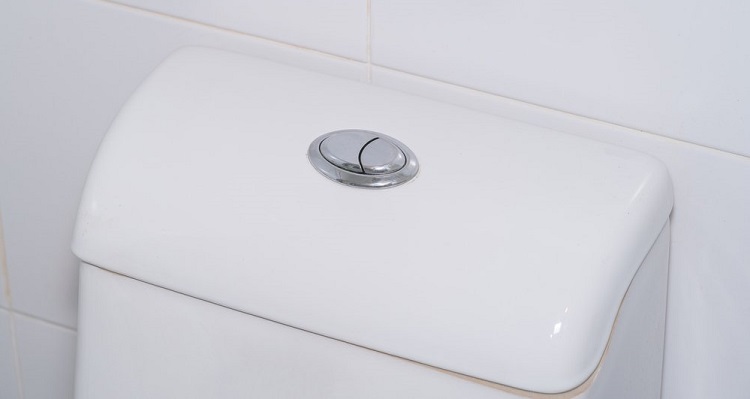 Dual Flush Toilets