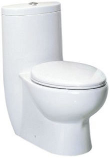 EAGO TB309 Tall Dual Flush Eco-Friendly Ceramic Toilet