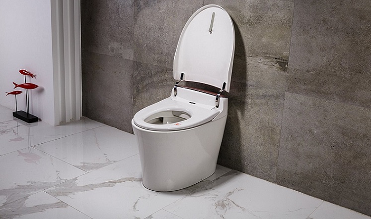 EAGO Toilet Reviews