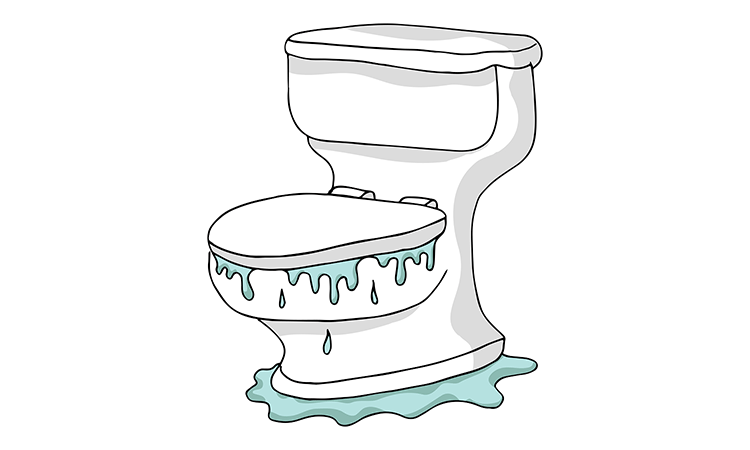 How to Stop a Toilet Overflowing