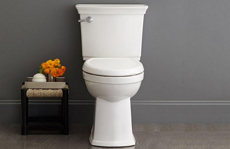 KOHLER Cimarron Toilet Reviews