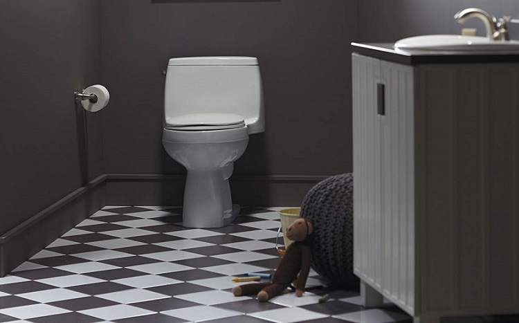 Kohler Santa Rosa Toilet Reviews