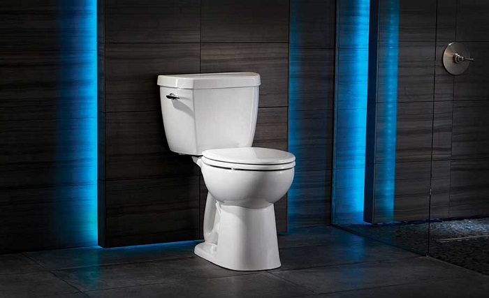 Niagara Stealth Toilet Reviews