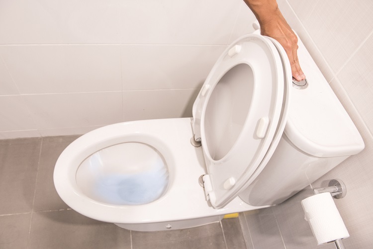 Pressure Assisted Toilets