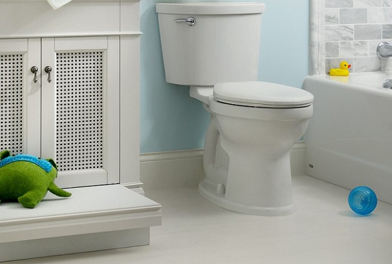 ProFlo Toilet Review