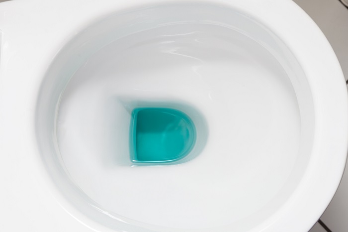 Toilet Bowl