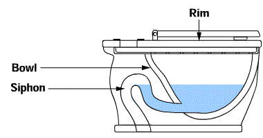Toilet Siphon