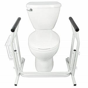 Vive Stand Alone Toilet Rail