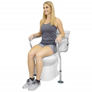 Vive Toilet Rail