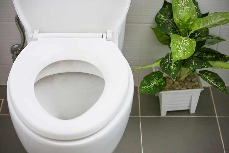 Water Savings Toilet