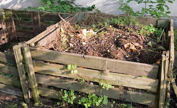 What to Do with Your Compost