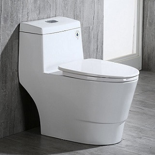 WoodBridge T-0001, Dual Flush Elongated One Piece Toilet